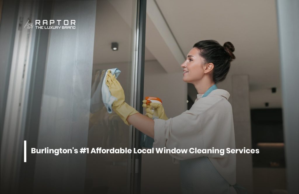 Local Window Cleaning Services