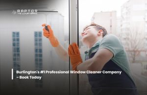 Professional Window Cleaner Company