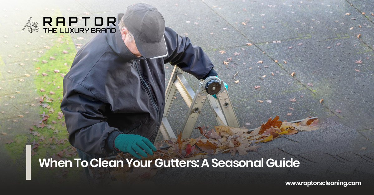 Seasonal Gutter Cleaning Guide: When to Keep Your Gutters in Top Shape!