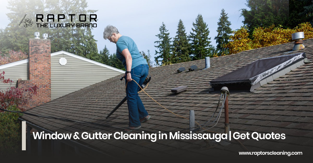 Window & Gutter Cleaning in Mississauga