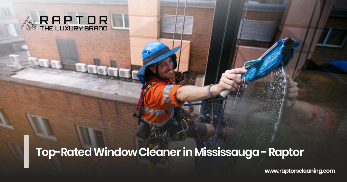 Top-Rated Window Cleaner in Mississauga