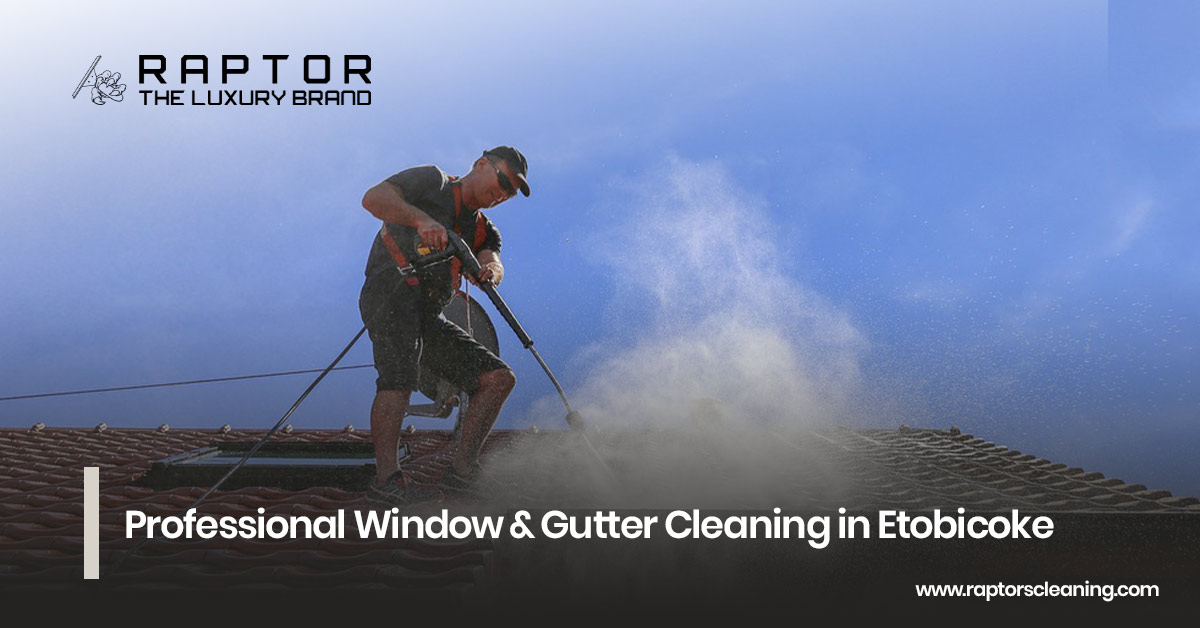 Professional Window & Gutter Cleaning in Etobicoke