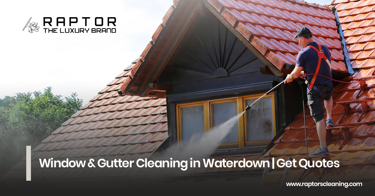 Window & Gutter Cleaning in Waterdown